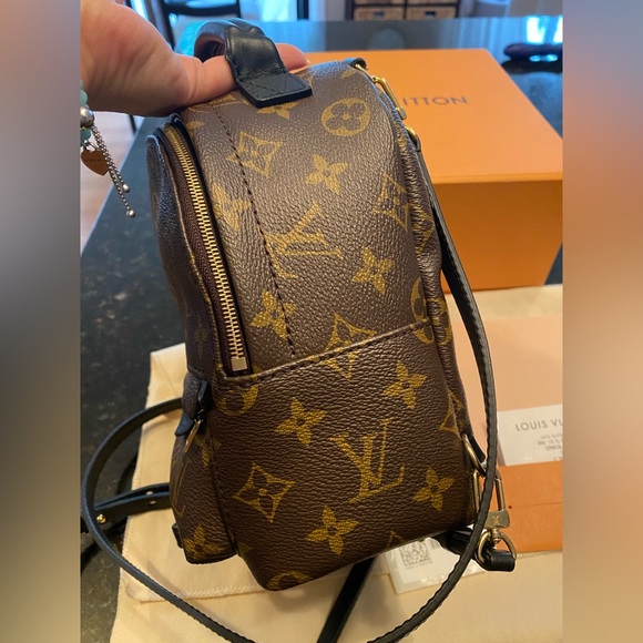 ✨Louis Vuitton Palm Springs Mini Bag/Backpack ✨ - Picture 7 of 10